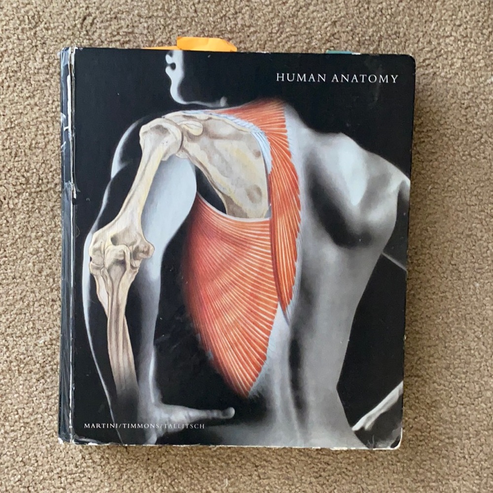 Human Anatomy 5th Ed. Martini,Timmons, Tallitsch